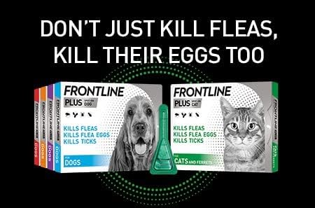 Frontline Plus For Dogs 20 to 40k