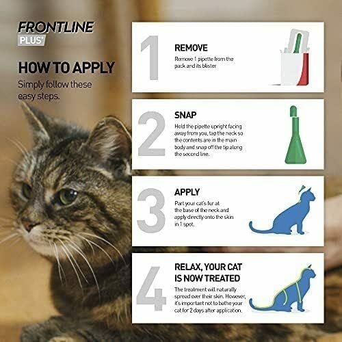 Frontline Plus For Cats