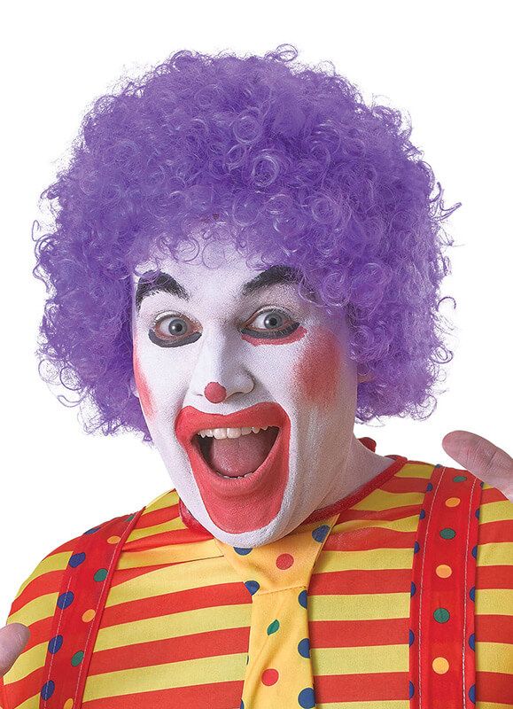 Purple Clown Afro Pop Wig